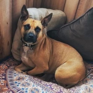Ellie